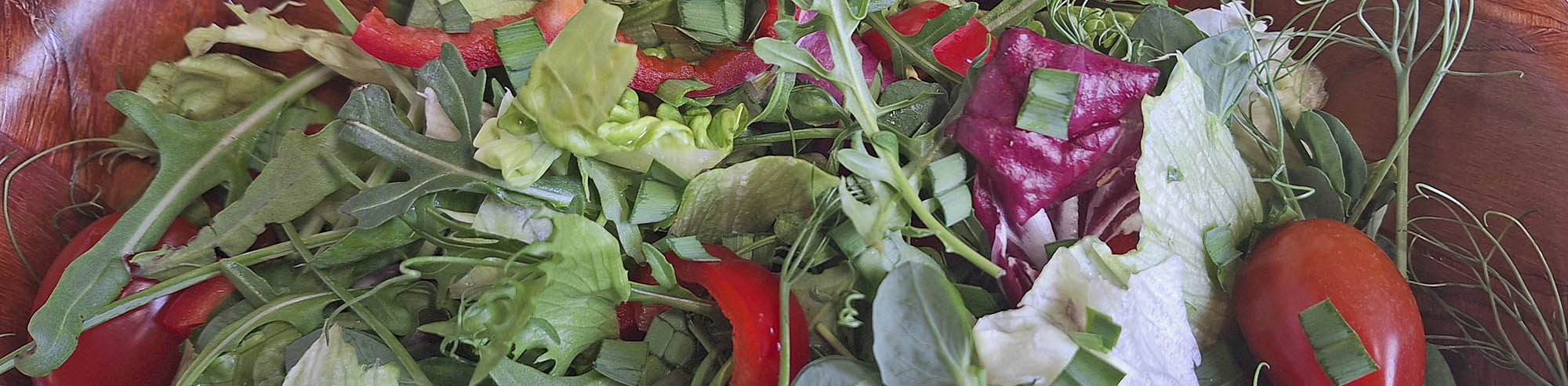 Salatskål