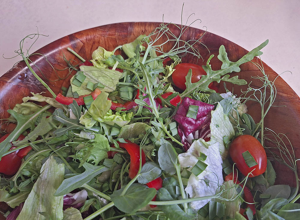 Salatskål