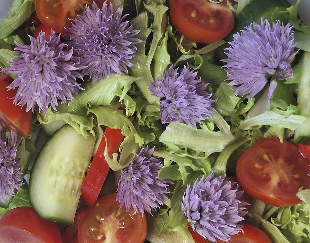 Blandet salat med purløgsblomster