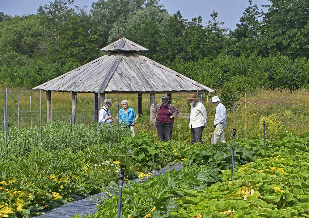 Grønsagsdyrkning hos Calendula Permakultur