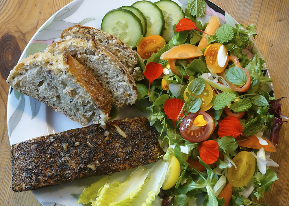 Blandet salat med langskulpet vinterkarse småblade
