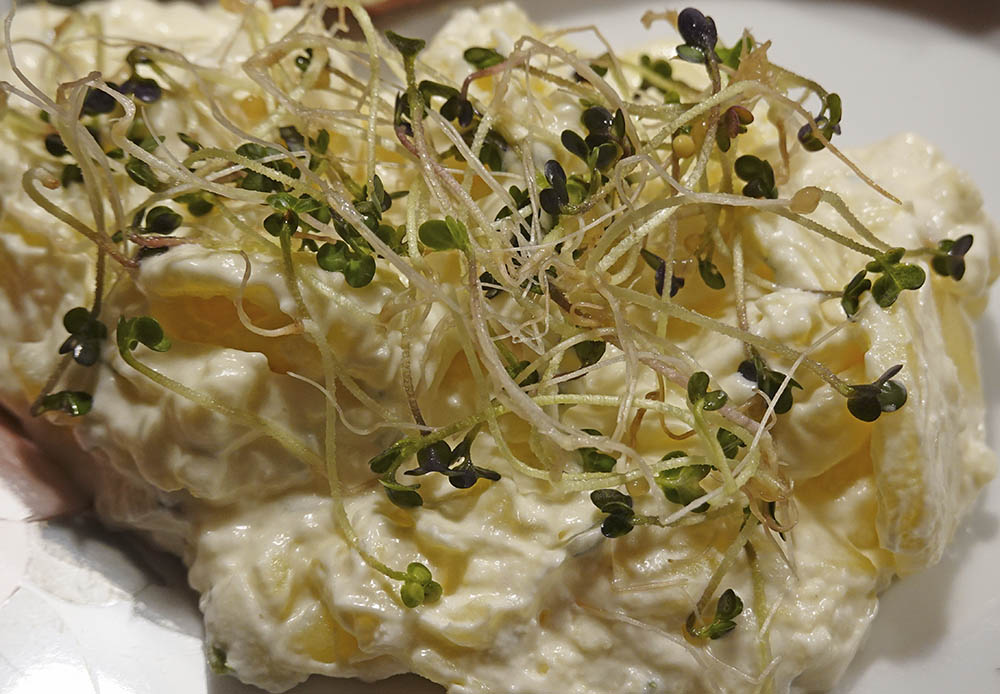 Gul sennep spirer påkartoffelsalat