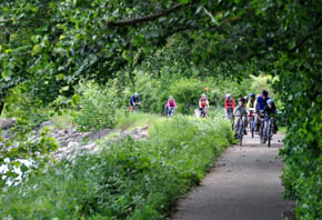 På cykeltur ved Flensborg fjord.