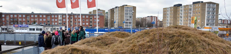 Frøsamlerne på Gröna tak