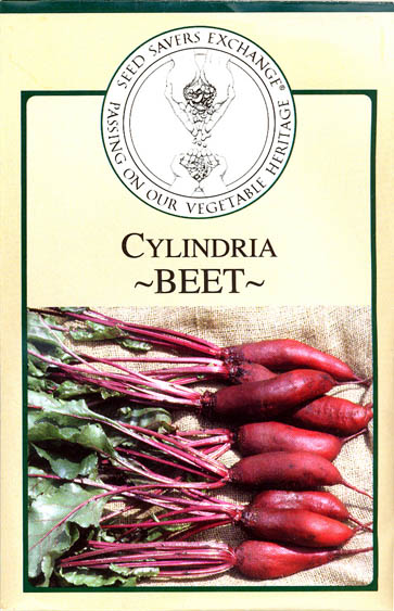 Rdbede, Cylindra, Beta vulgaris </i>L. var.<i> vulgaris